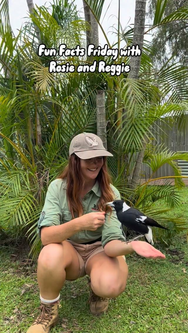 Post 4 by Wildlife Unleashed 🪶 on Instagram (video)