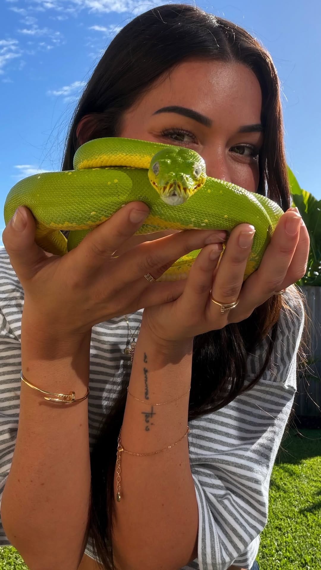 Post 3 by Wildlife Unleashed 🪶 on Instagram (video)