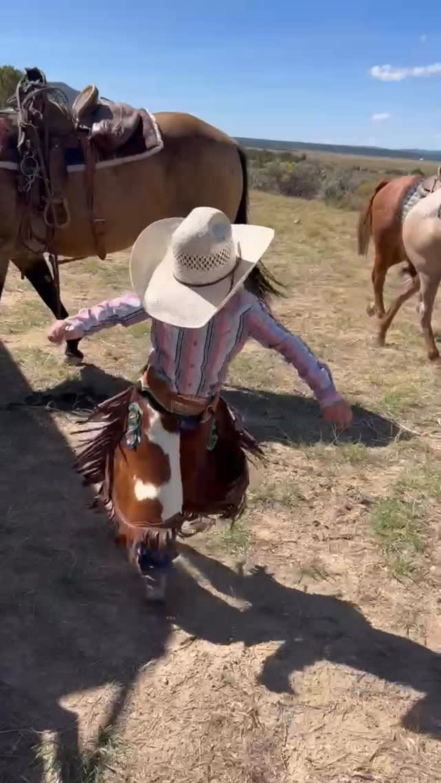 Post 3 by Mackenzie Crable on Instagram (video)