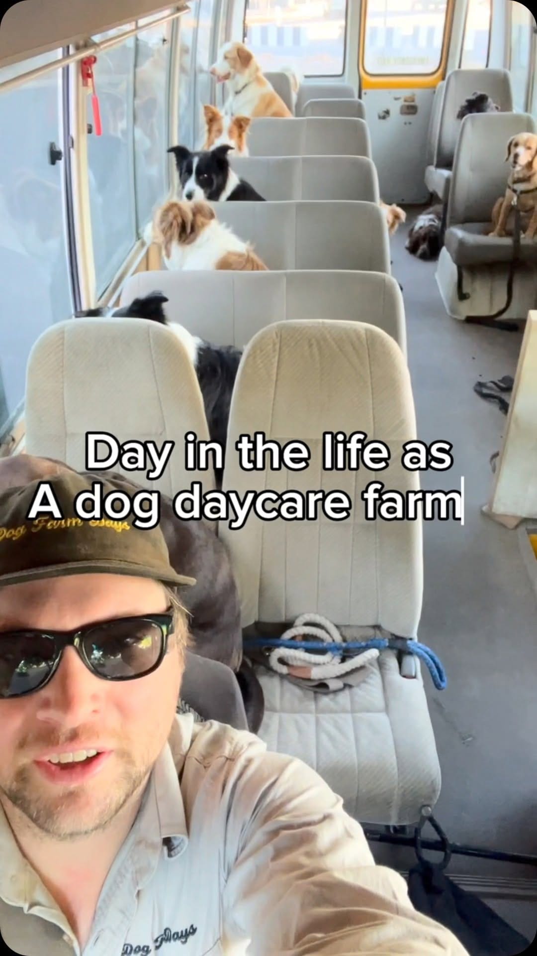 Post 10 by Adelaide dog farm days on Instagram (video)