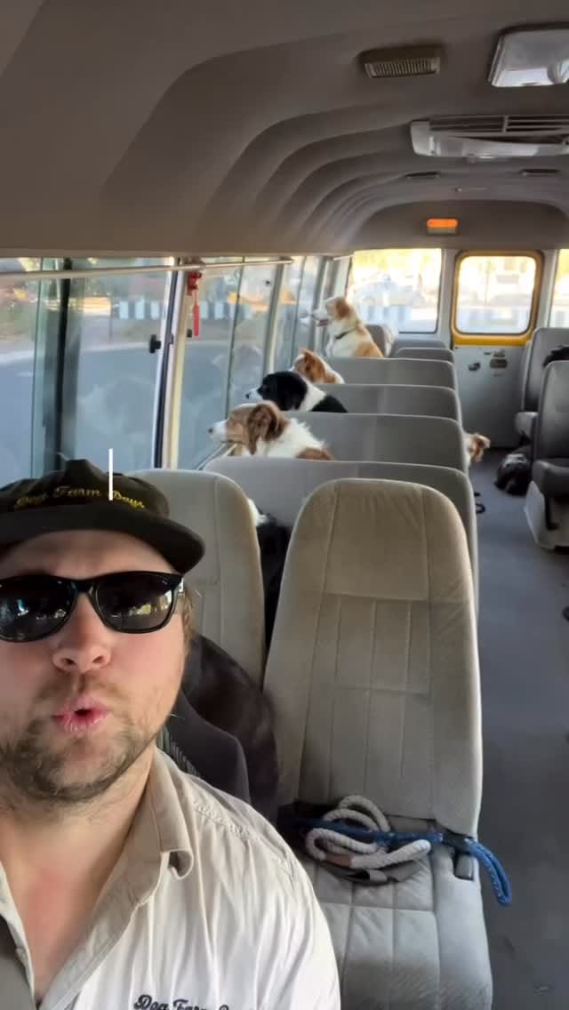 Post 9 by Adelaide dog farm days on Instagram (video)
