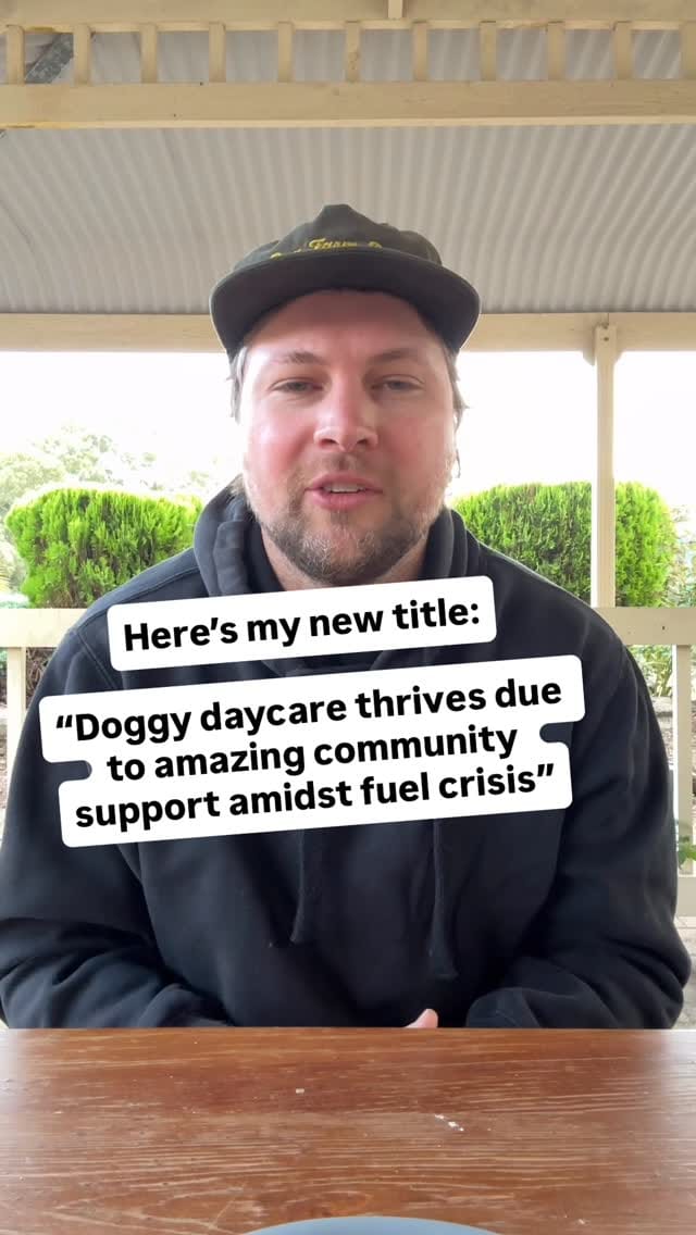 Post 1 by Adelaide dog farm days on Instagram (video)