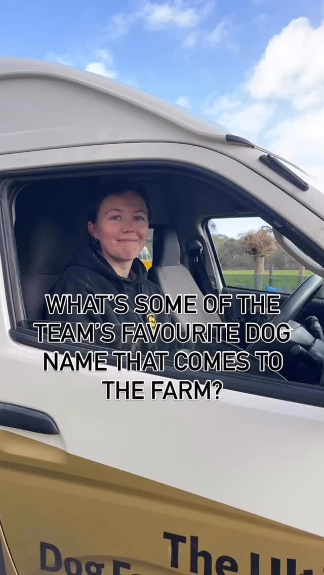 Post 6 by Adelaide dog farm days on Instagram (video)