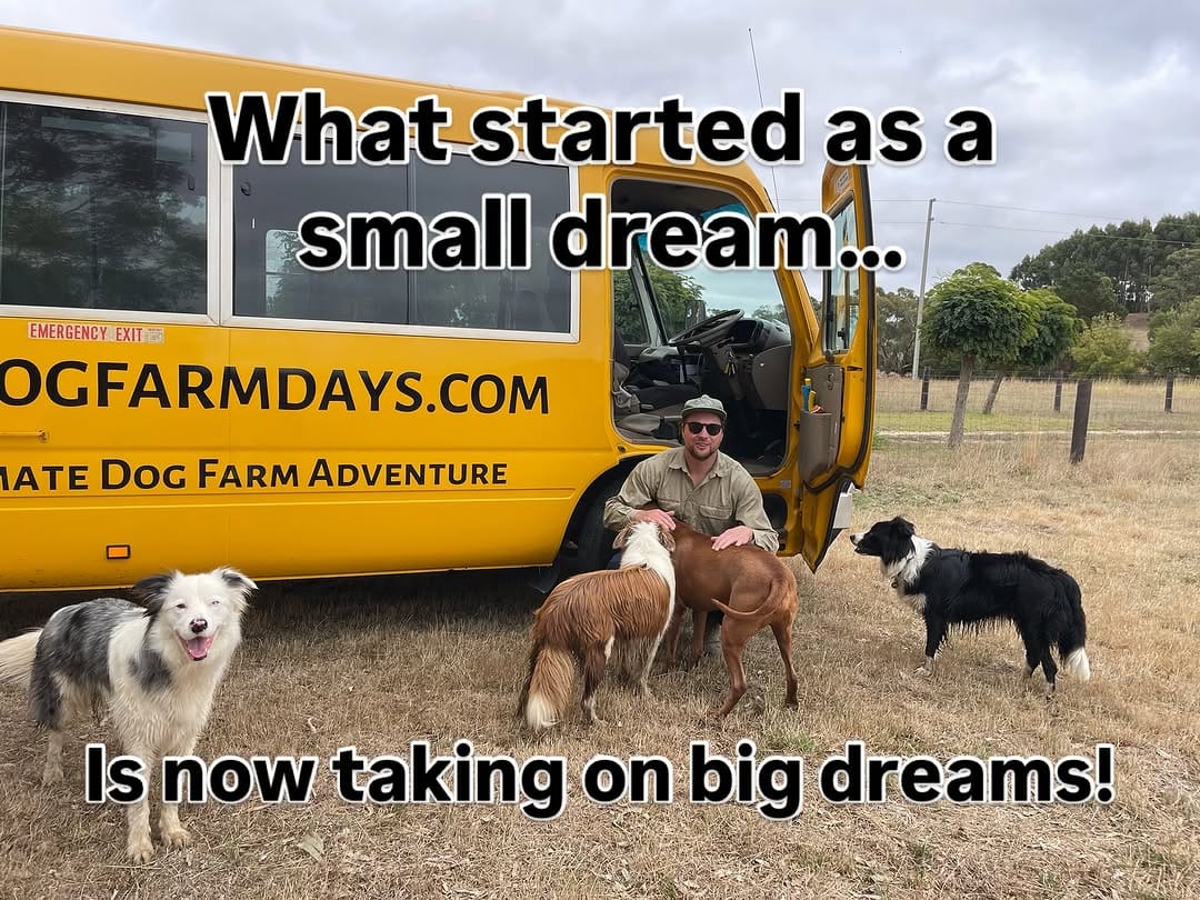 Post 4 by Adelaide dog farm days on Instagram (carousel)