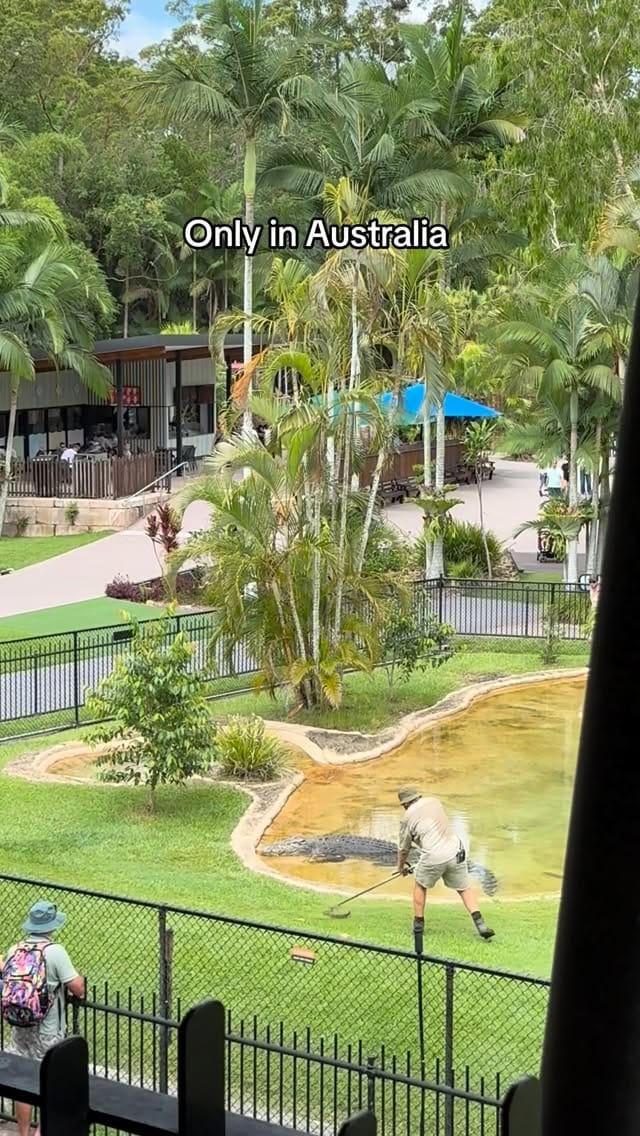 Post 9 by Isabel Bolton on Instagram (video)
