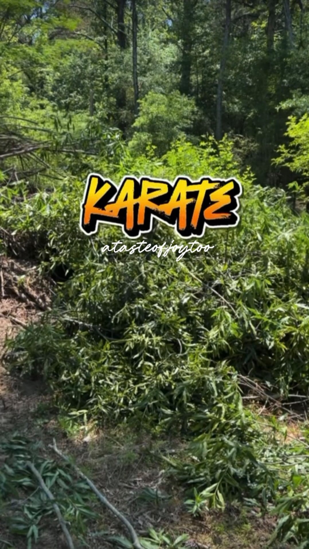 Post 5 by A Taste Of Joy on Instagram (video)