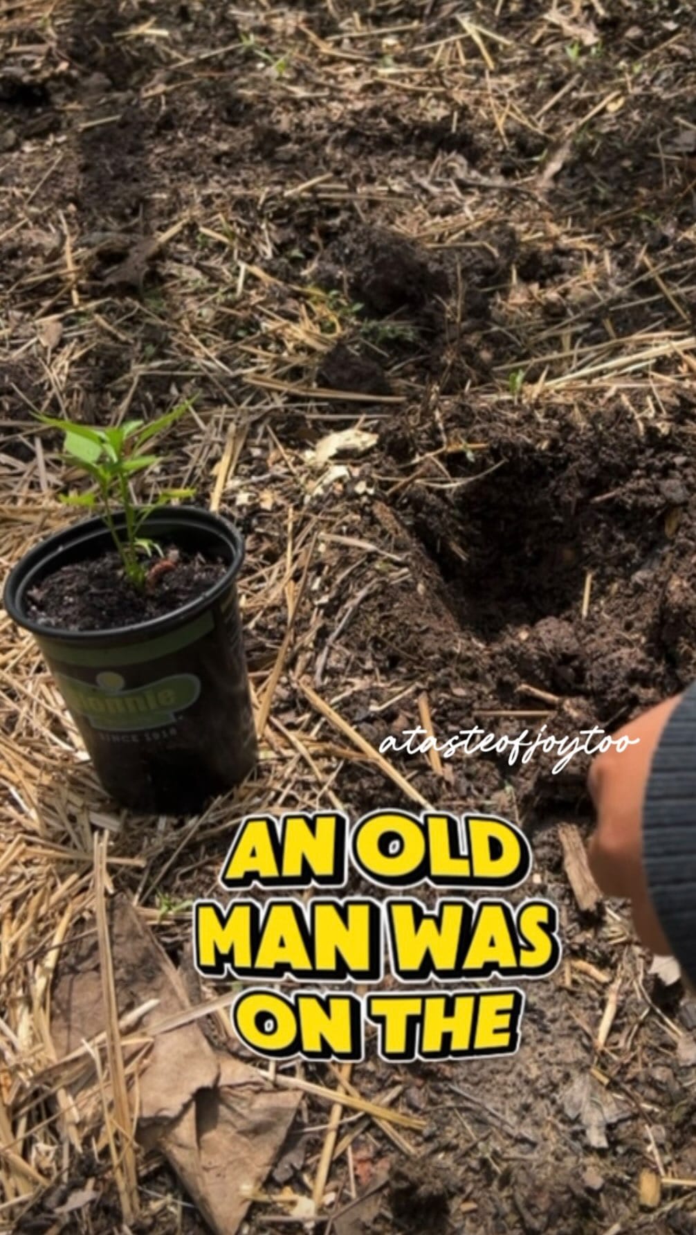Post 3 by A Taste Of Joy on Instagram (video)