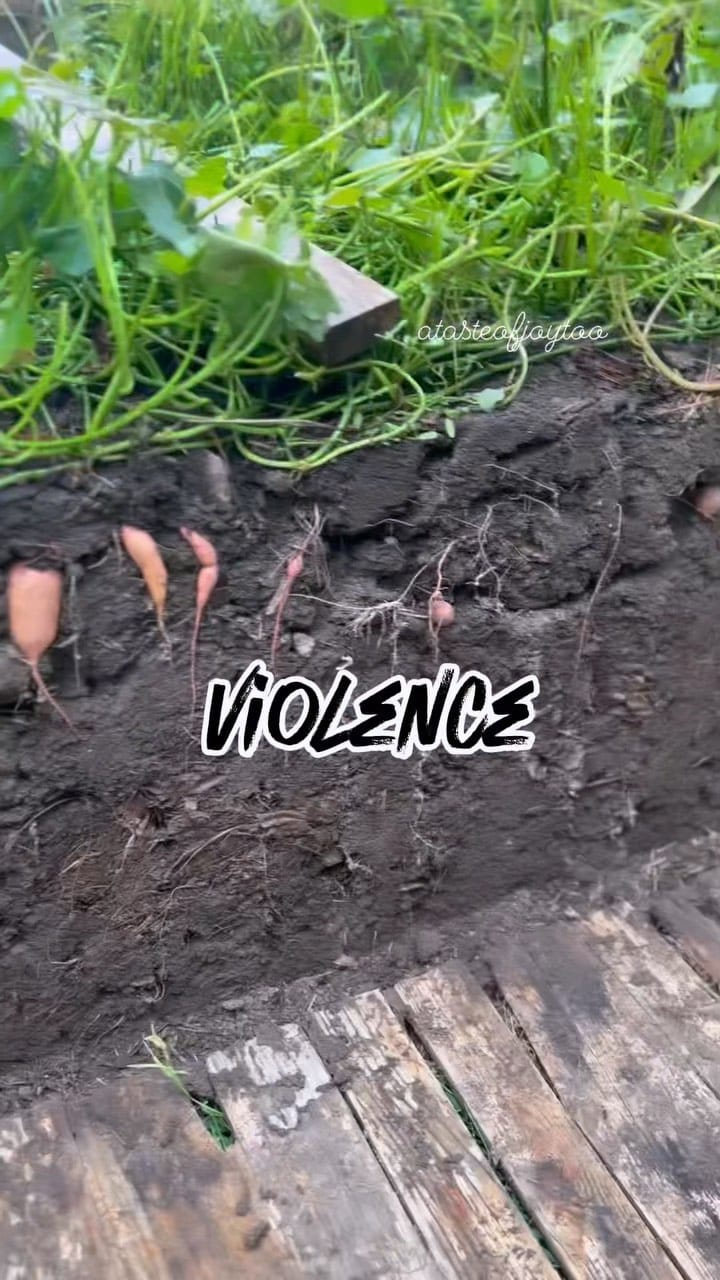 Post 10 by A Taste Of Joy on Instagram (video)
