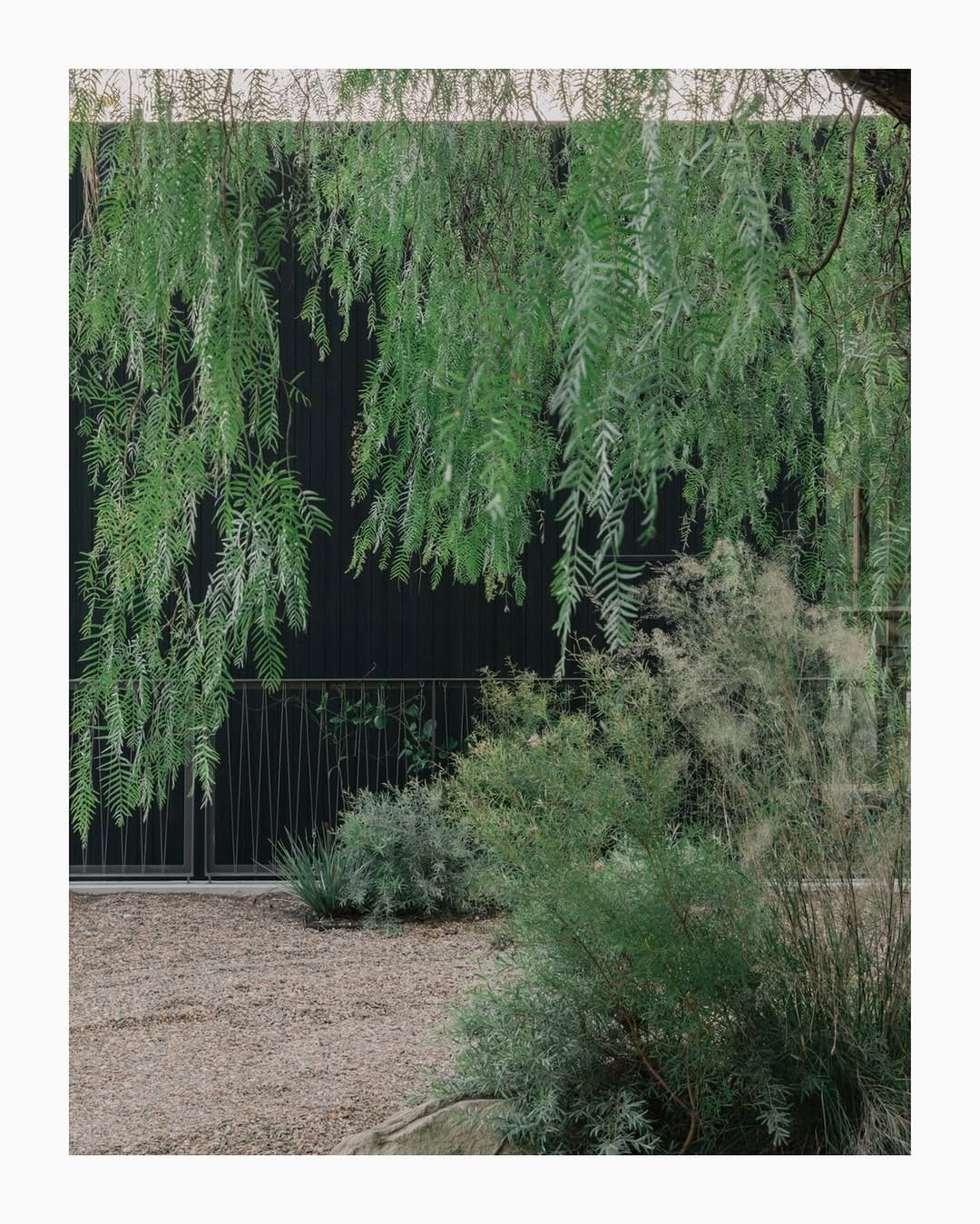 Post 4 by T R I A S on Instagram (image)