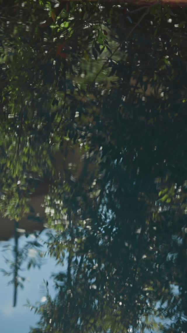Post 4 by SYDNEY | WEST MELBOURNE on Instagram (video)