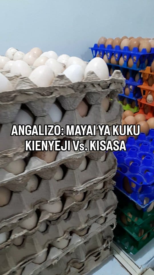 Post 10 by Kuku Kienyeji,Mayai Kienyeji,Kuku Kisasa,Mayai Kisasa,Boneless on Instagram (video)
