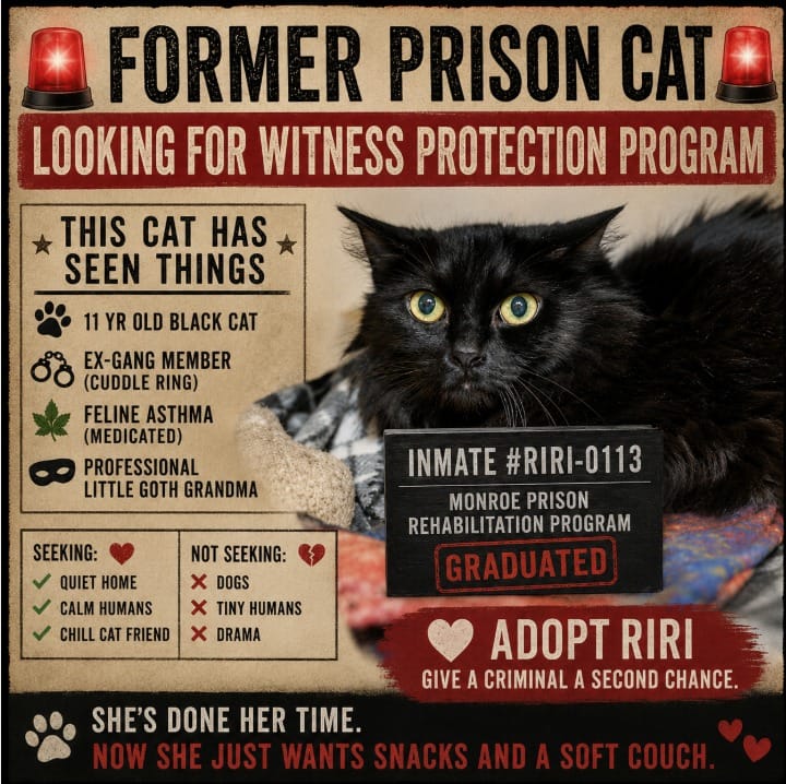 Post 7 by Purrfect Pals Cat Sanctuary on Instagram (image)