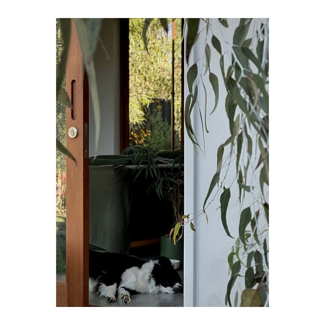 Post 2 by Stack on Instagram (image)