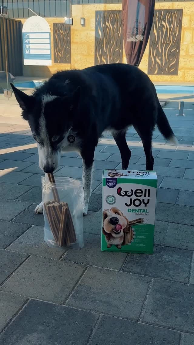 Post 10 by Jodiehollistobin 🤍 on Instagram (video)