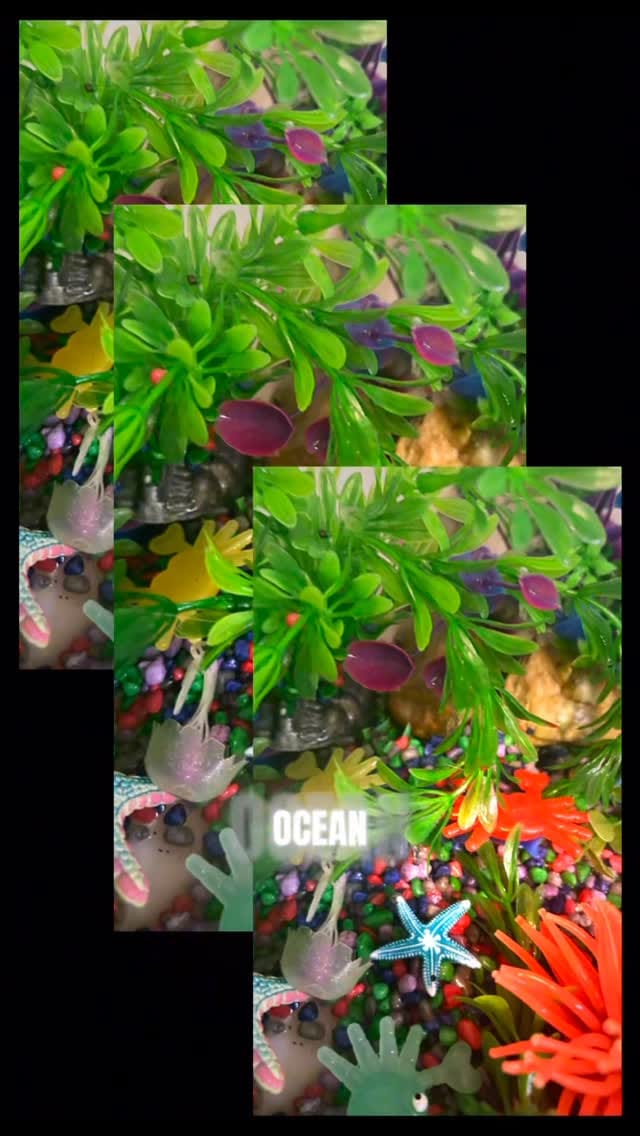 Post 3 by The Messy Patch on Instagram (video)