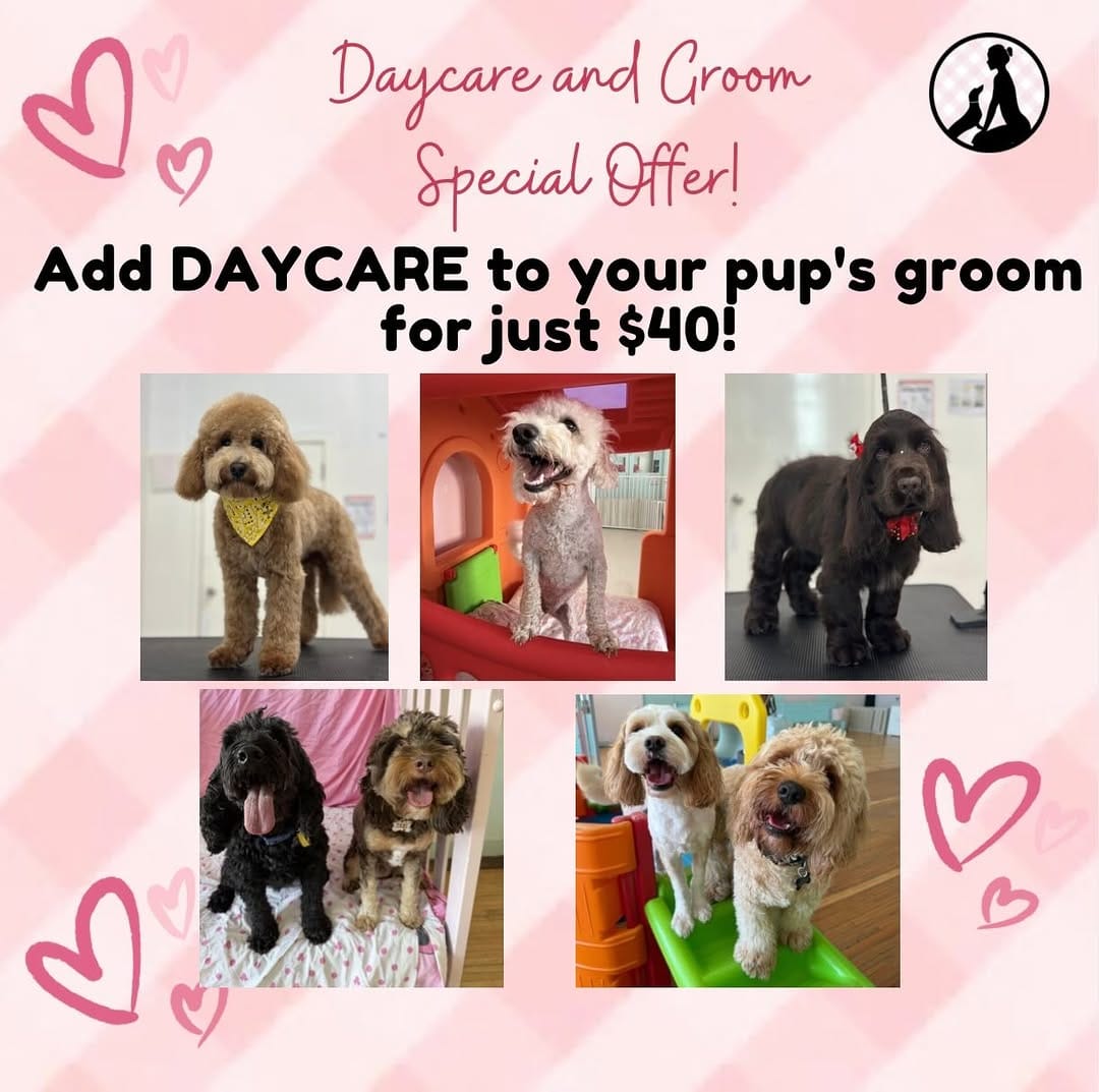 Post 10 by Madame Ma’s Doggie Daycare & Grooming on Instagram (image)