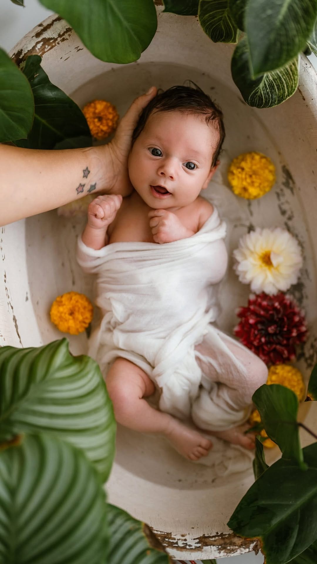 Post 8 by Sunshine Coast Photographer | Maternity & Newborn – Linzie Russo on Instagram (video)