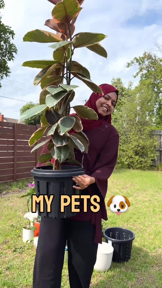 Post 1 by Fahrin Zannat Faiza on Instagram (video)