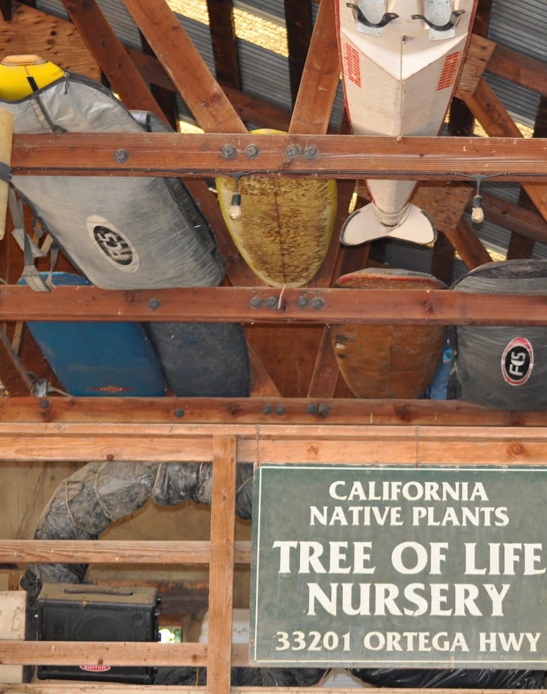 Post 1 by Tree of Life Nursery on Instagram (carousel)