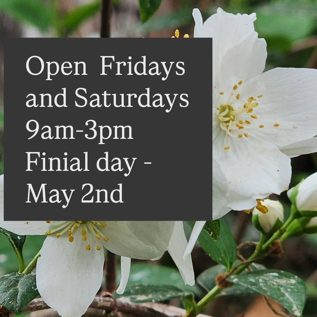 Post 8 by Tree of Life Nursery on Instagram (image)