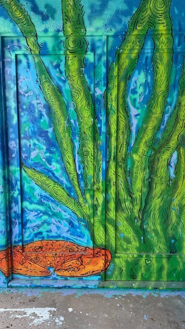 Post 3 by Door Stain on Instagram (video)