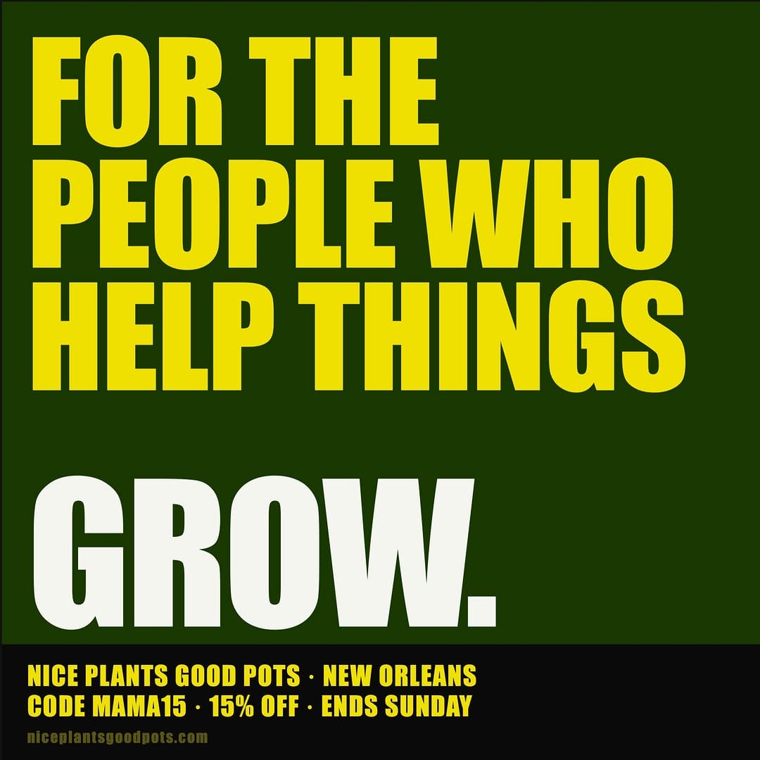 Post 3 by Nice Plants Good Pots on Instagram (carousel)