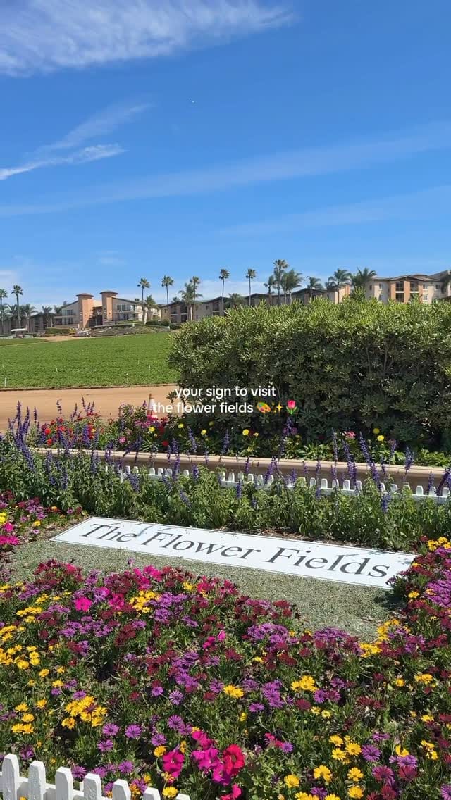 Post 3 by Diana Tamez on Instagram (video)