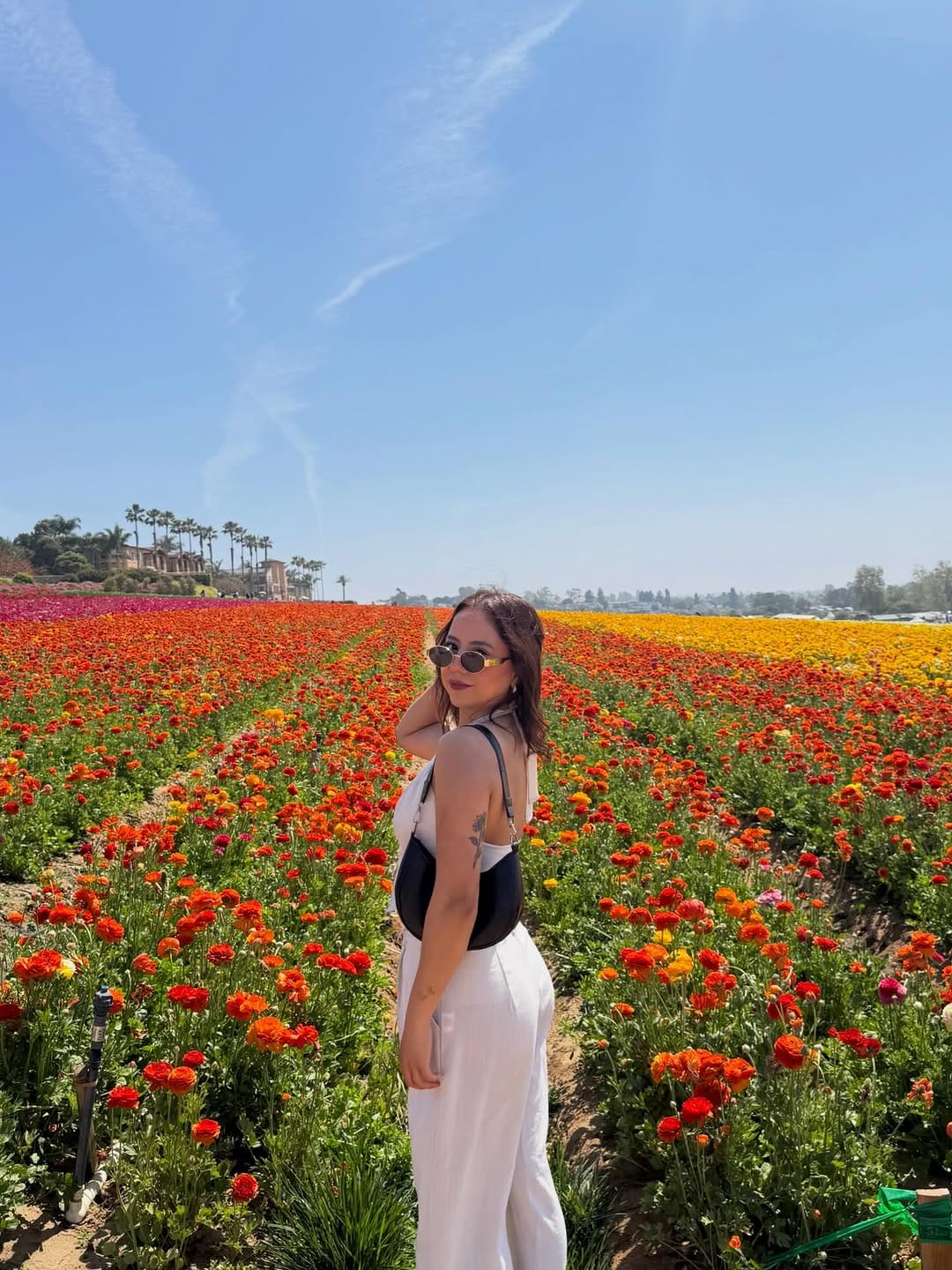 Post 4 by Diana Tamez on Instagram (carousel)
