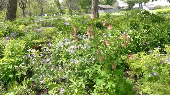 Post 6 by Austin Eischeid Garden Design on Instagram (carousel)