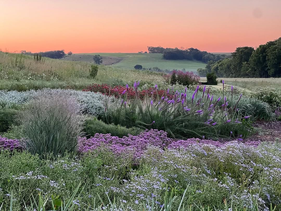 Post 10 by Austin Eischeid Garden Design on Instagram (carousel)