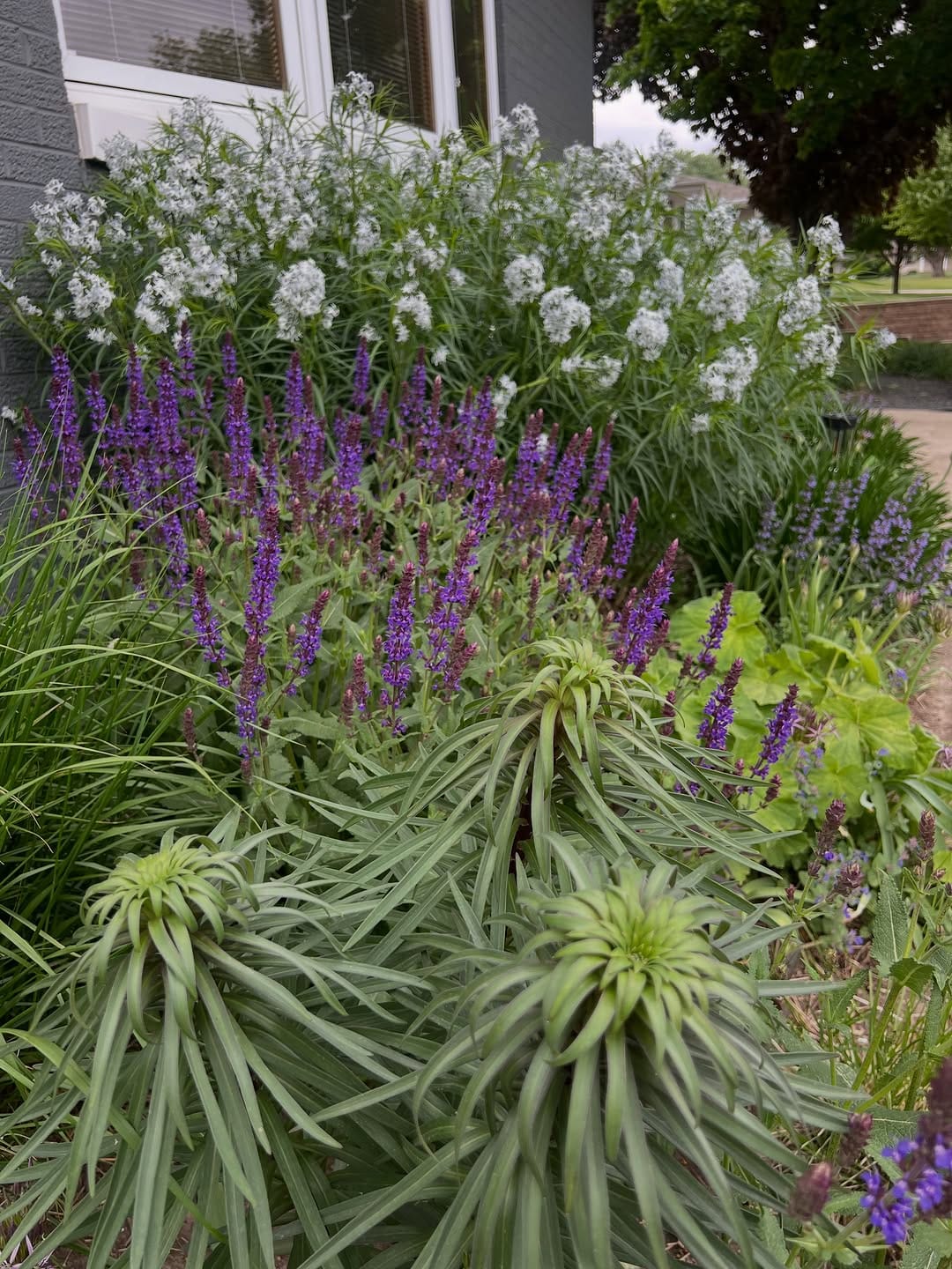 Post 4 by Austin Eischeid Garden Design on Instagram (carousel)