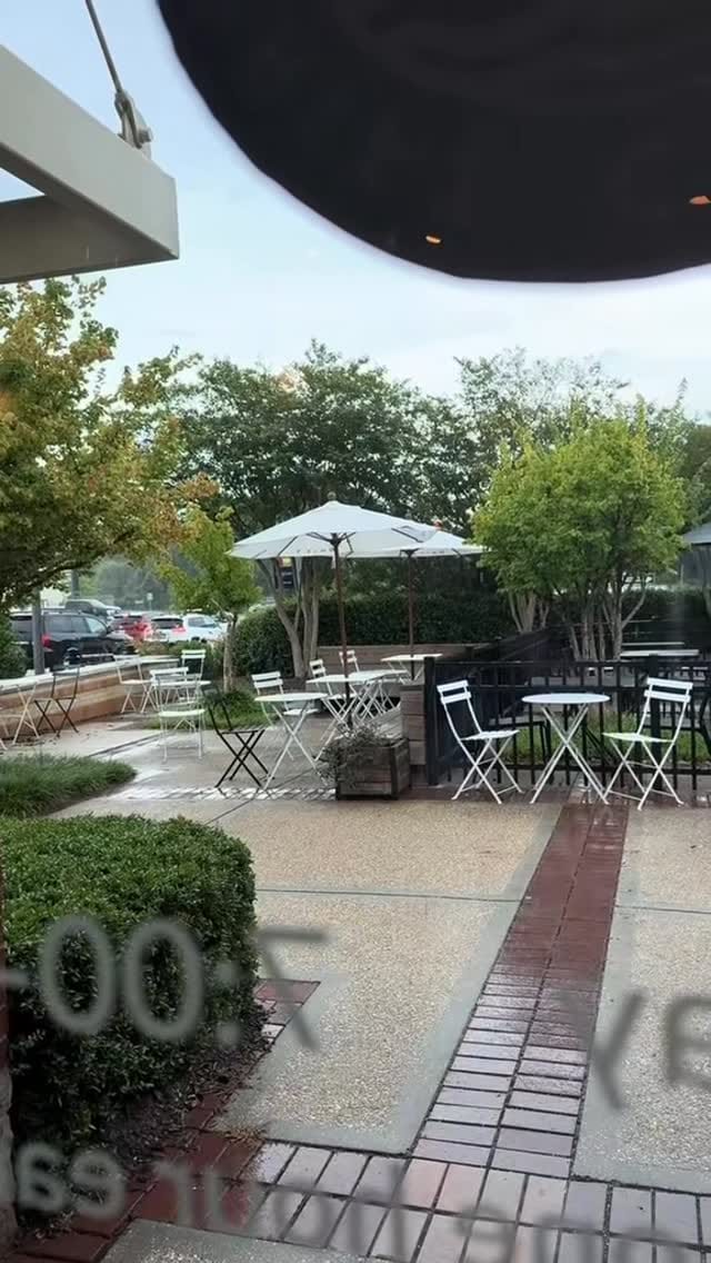 Post 8 by Doha Amin on Instagram (video)