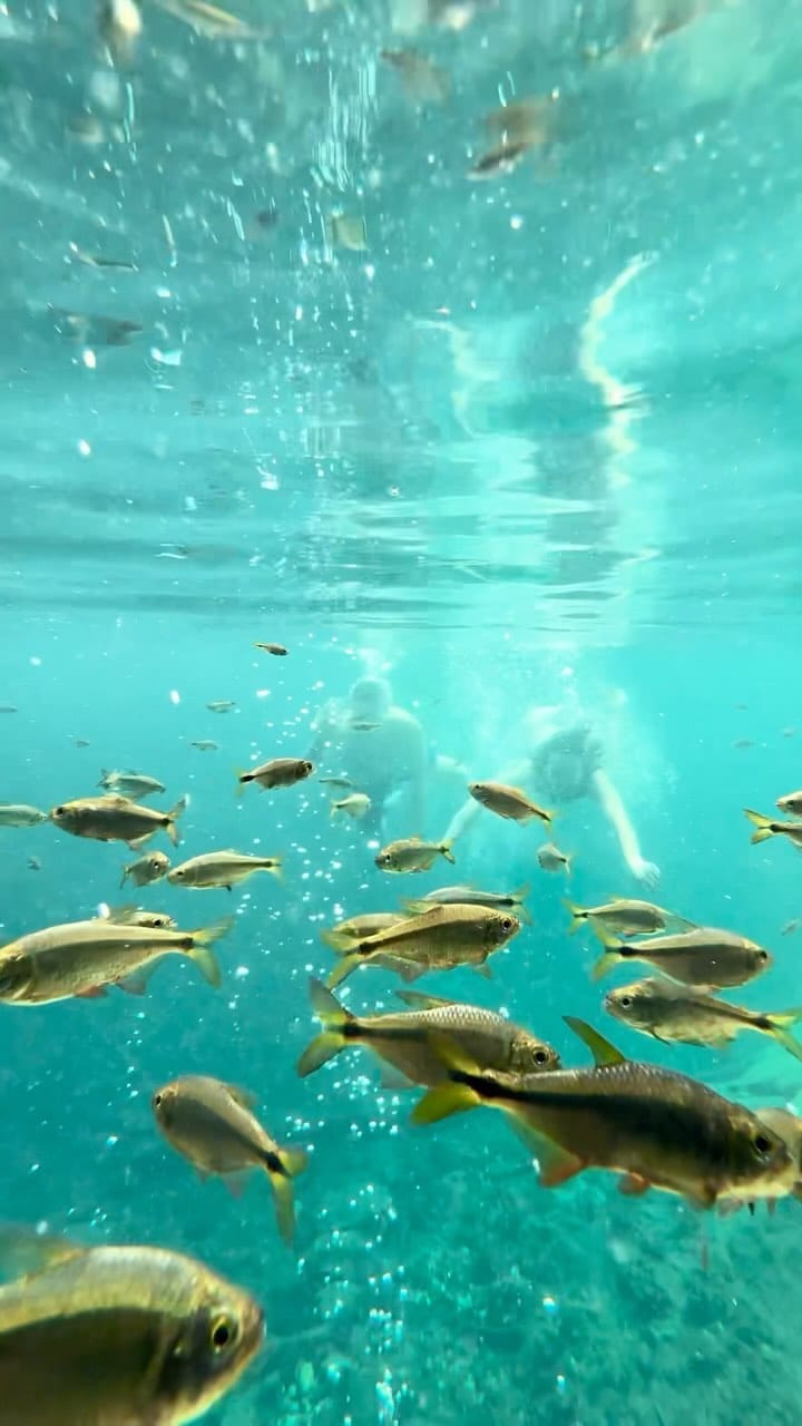 Post 10 by Elkin Jair Limon on Instagram (video)