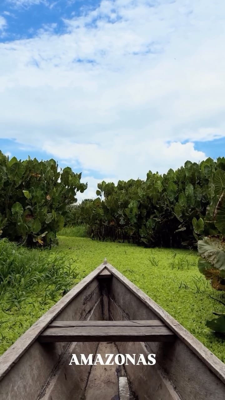Post 5 by Elkin Jair Limon on Instagram (video)