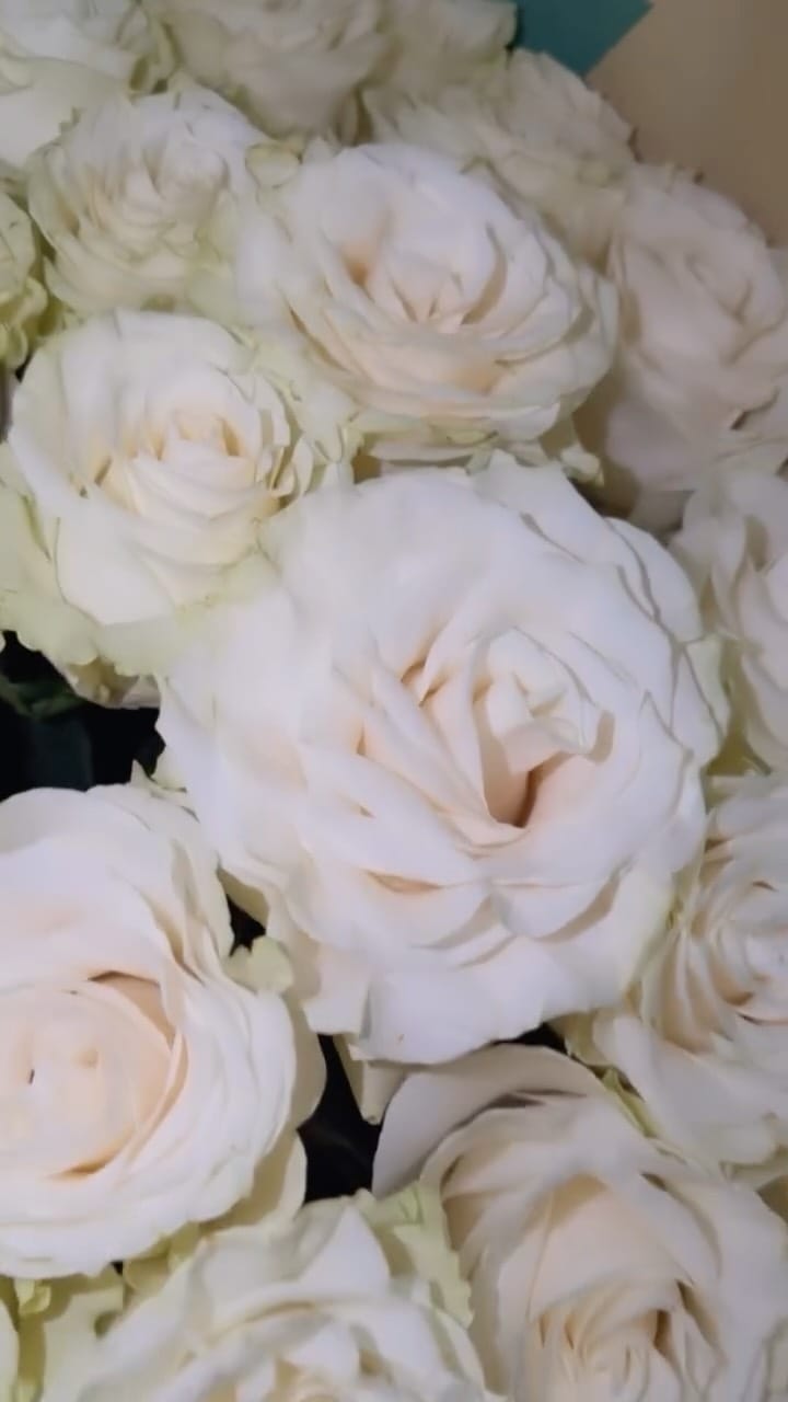 Post 7 by Sarah Connor on Instagram (video)