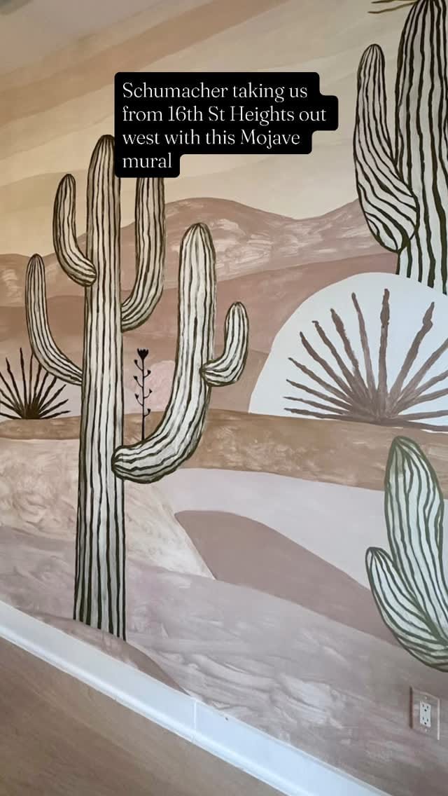 Post 10 by Sally Steponkus Interiors on Instagram (video)