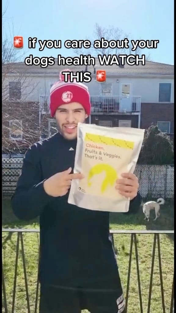 Post 1 by Milo | Pet Influencer on Instagram (video)