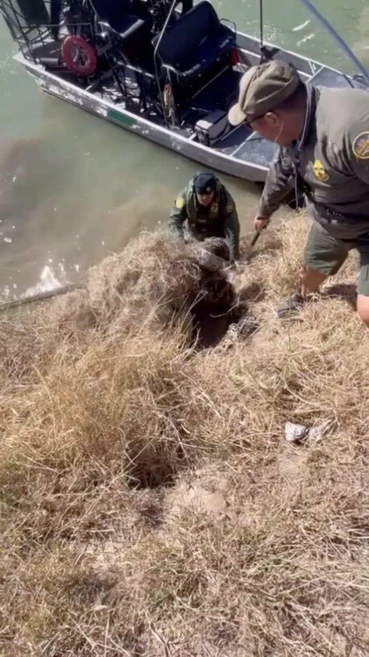 Post 2 by QD💥 on Instagram (video)