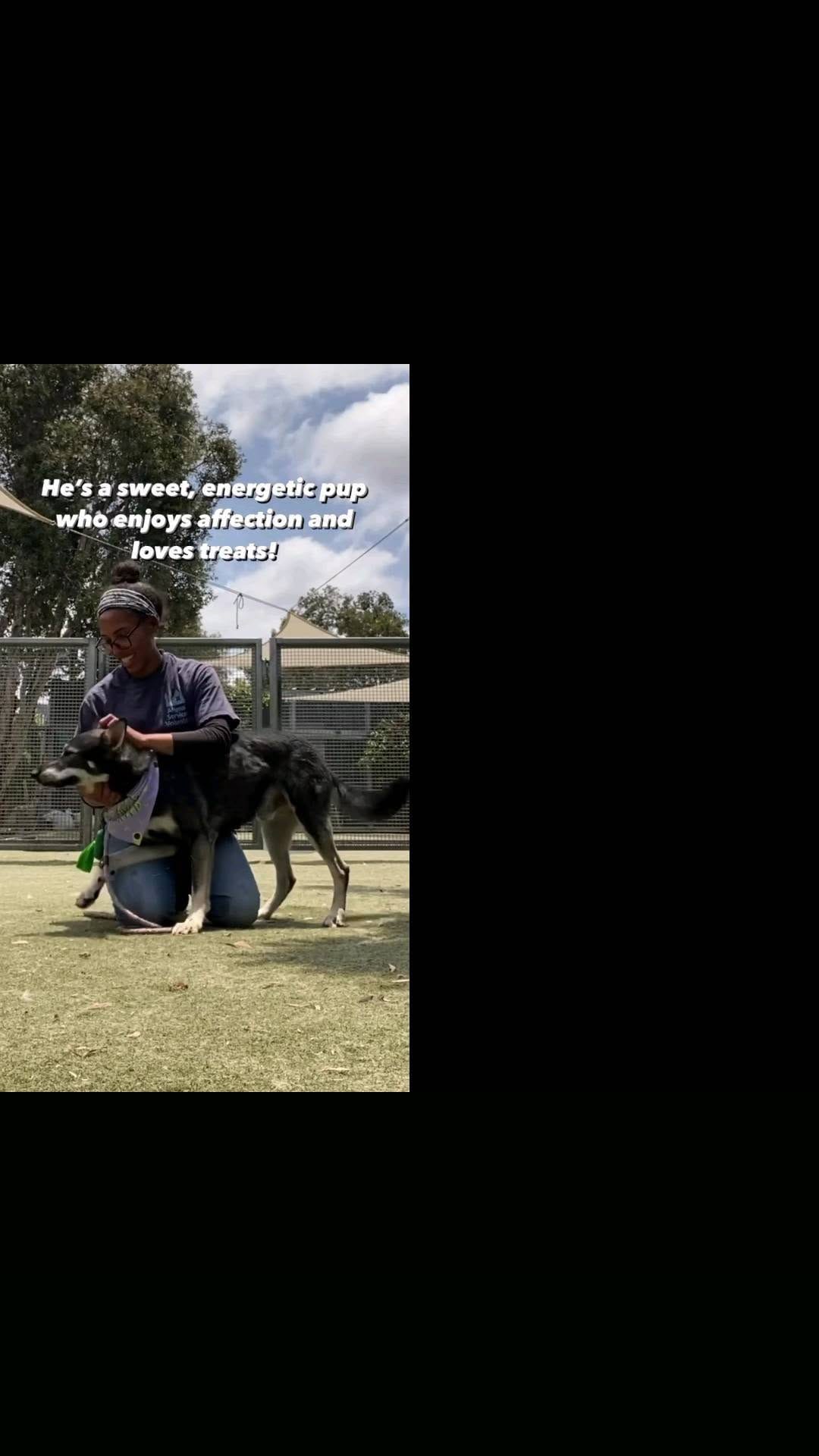 Post 2 by Chane Singletary on Instagram (video)
