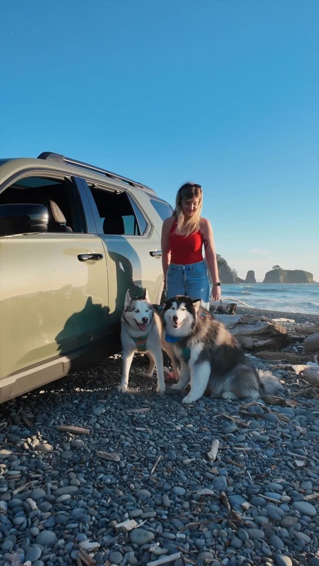 Post 3 by Honda of Seattle on Instagram (video)