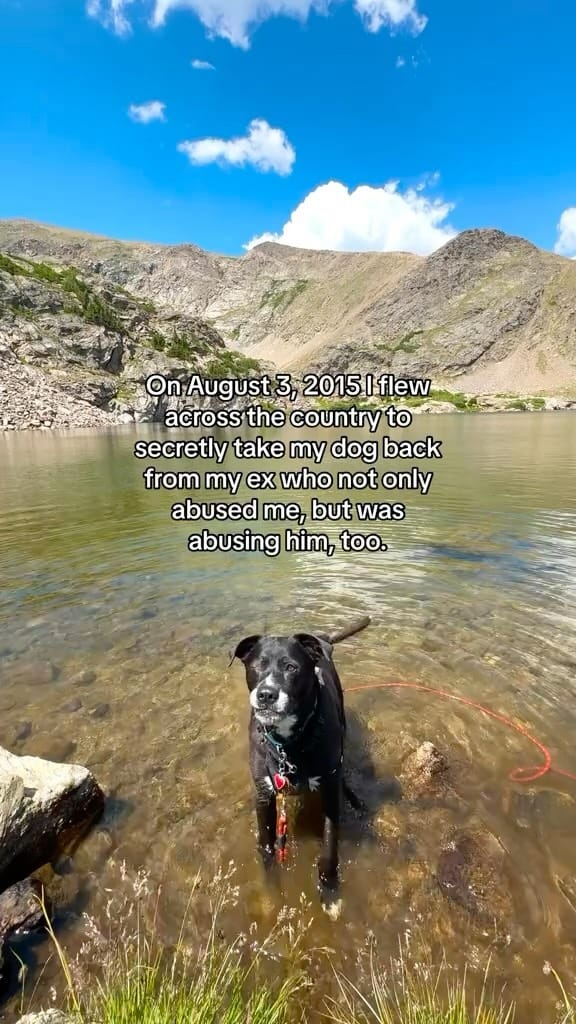 Post 10 by Kristin & Fenway on Instagram (video)