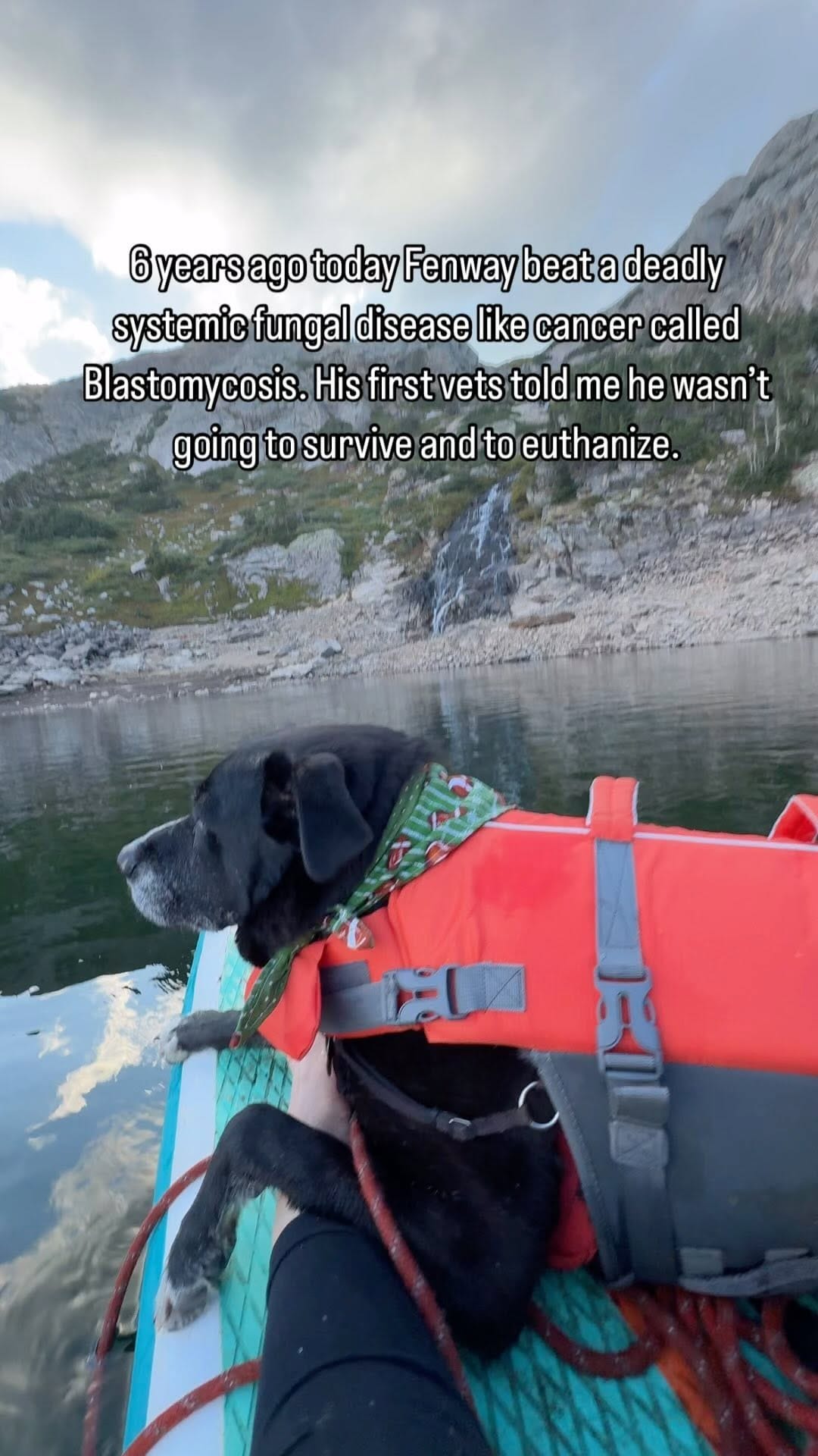 Post 9 by Kristin & Fenway on Instagram (video)