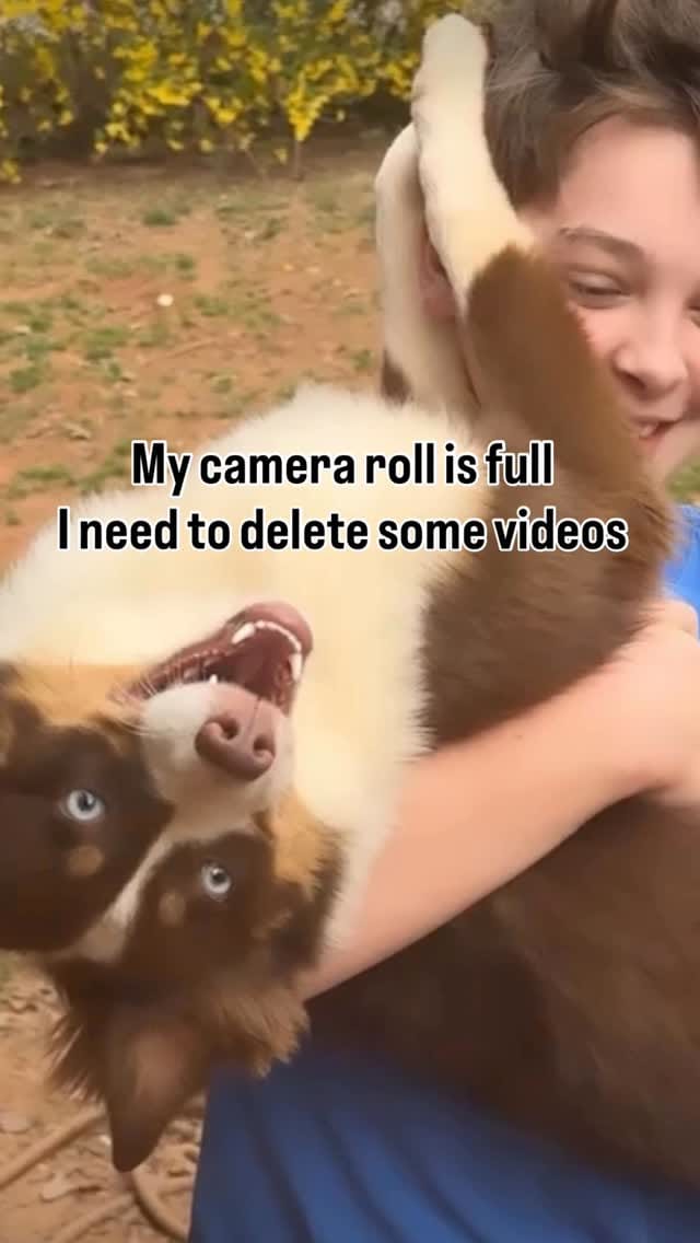 Post 1 by Jace Marsh on Instagram (video)