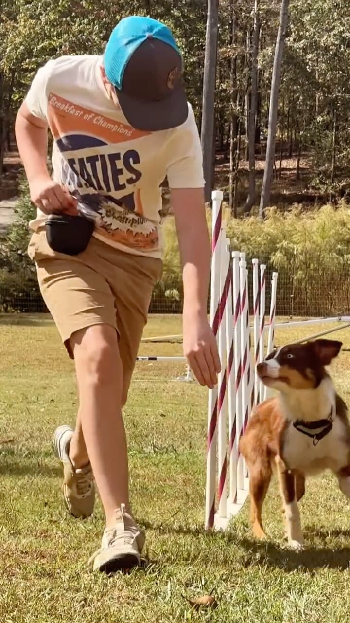 Post 10 by Jace Marsh on Instagram (video)