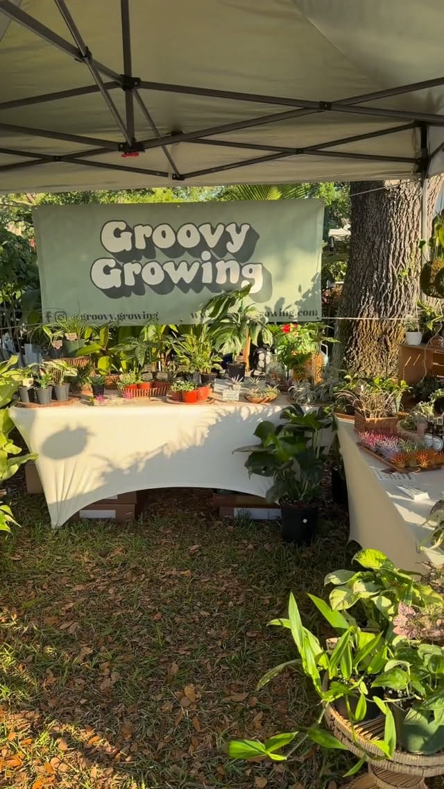 Post 6 by Groovy Growing on Instagram (video)