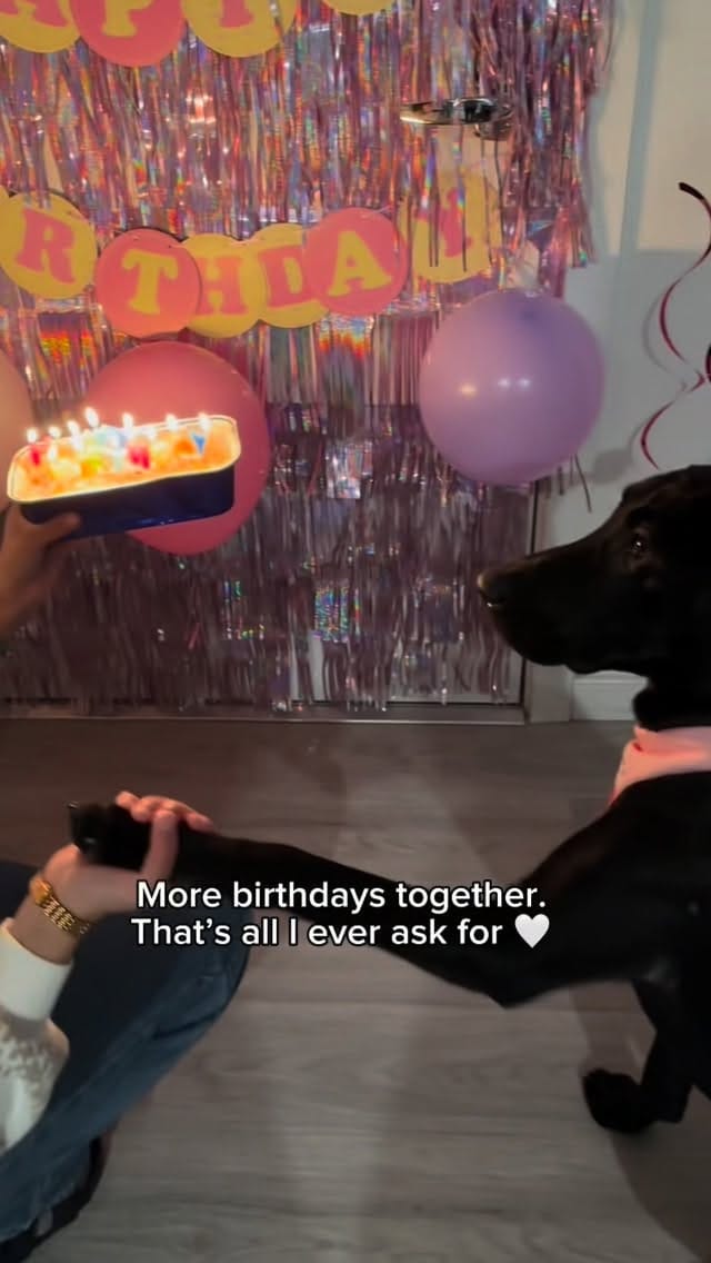 Post 5 by Luna 🌙 on Instagram (video)