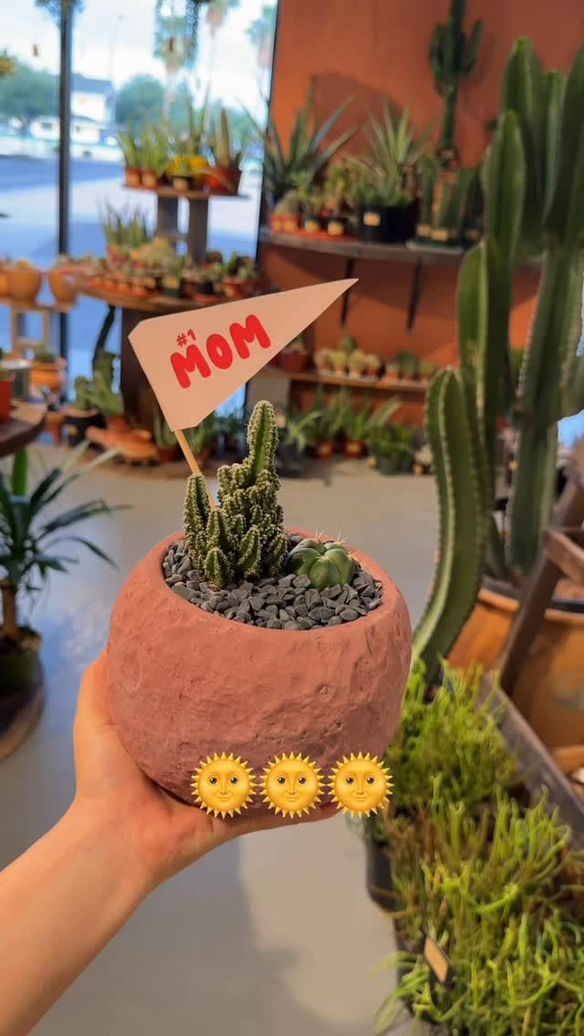 Post 7 by Maricopa Botanicals on Instagram (video)