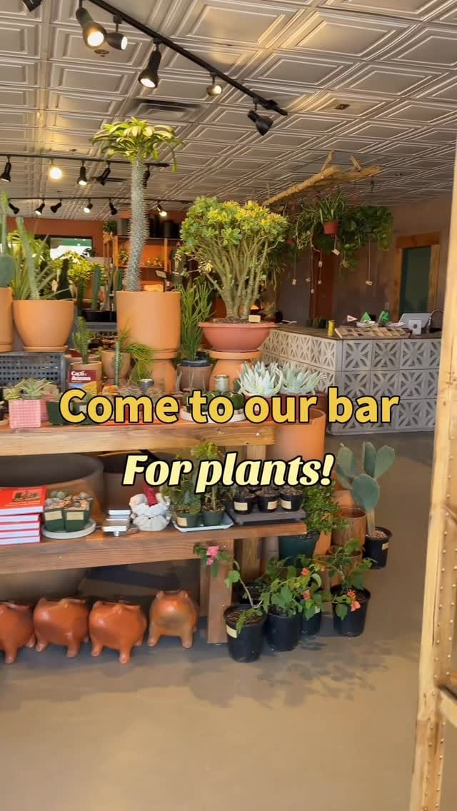 Post 1 by Maricopa Botanicals on Instagram (video)