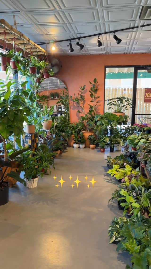 Post 5 by Maricopa Botanicals on Instagram (video)