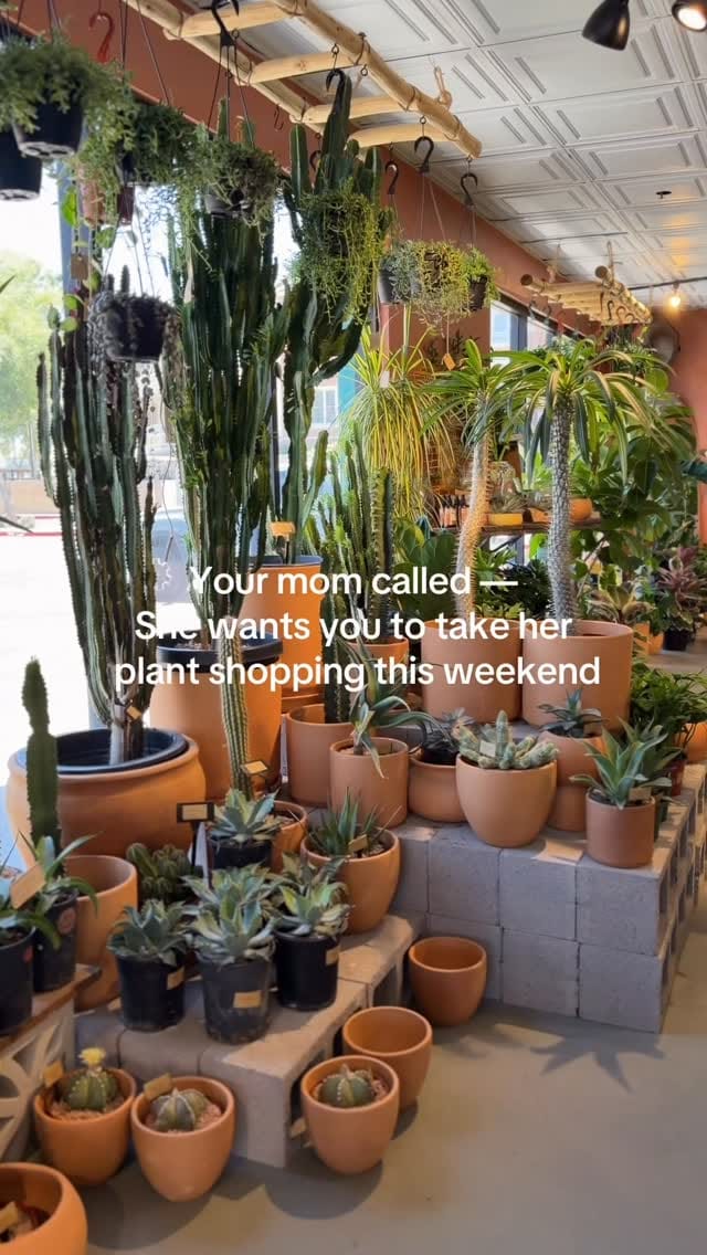 Post 3 by Maricopa Botanicals on Instagram (video)